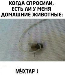 IMG-26061df61d6c47f533e6b3929e3ba316-V.thumb.jpg.90644569f12fb58cff0d0e0bb9bb01fc.jpg