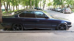 IMG_20260623_160310.thumb.jpg.8aed091d51dfe6cc2e2a29d61bb383e6.jpg