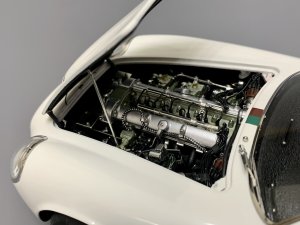 IMG_3190.jpeg