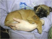 post-10-1171995301_thumb.jpg