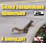 post-271-1153494259_thumb.jpg