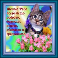 post-32-1291109281_thumb.jpg