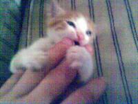 post-359-1207420200_thumb.jpg