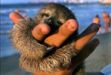 post-3977-1232768997_thumb.jpg