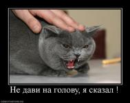 post-6602-1257200024_thumb.jpg