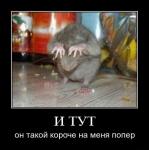 post-7336-1258495522_thumb.jpg