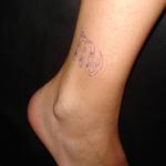 post-744-1219439412_thumb.jpg