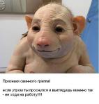 post-96-1258114750_thumb.jpg